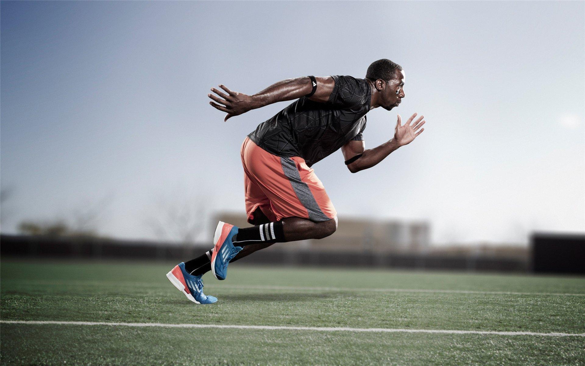 霍福德盛赞霍勒迪改变球队基因 普理查德防守成绿军隐形武器